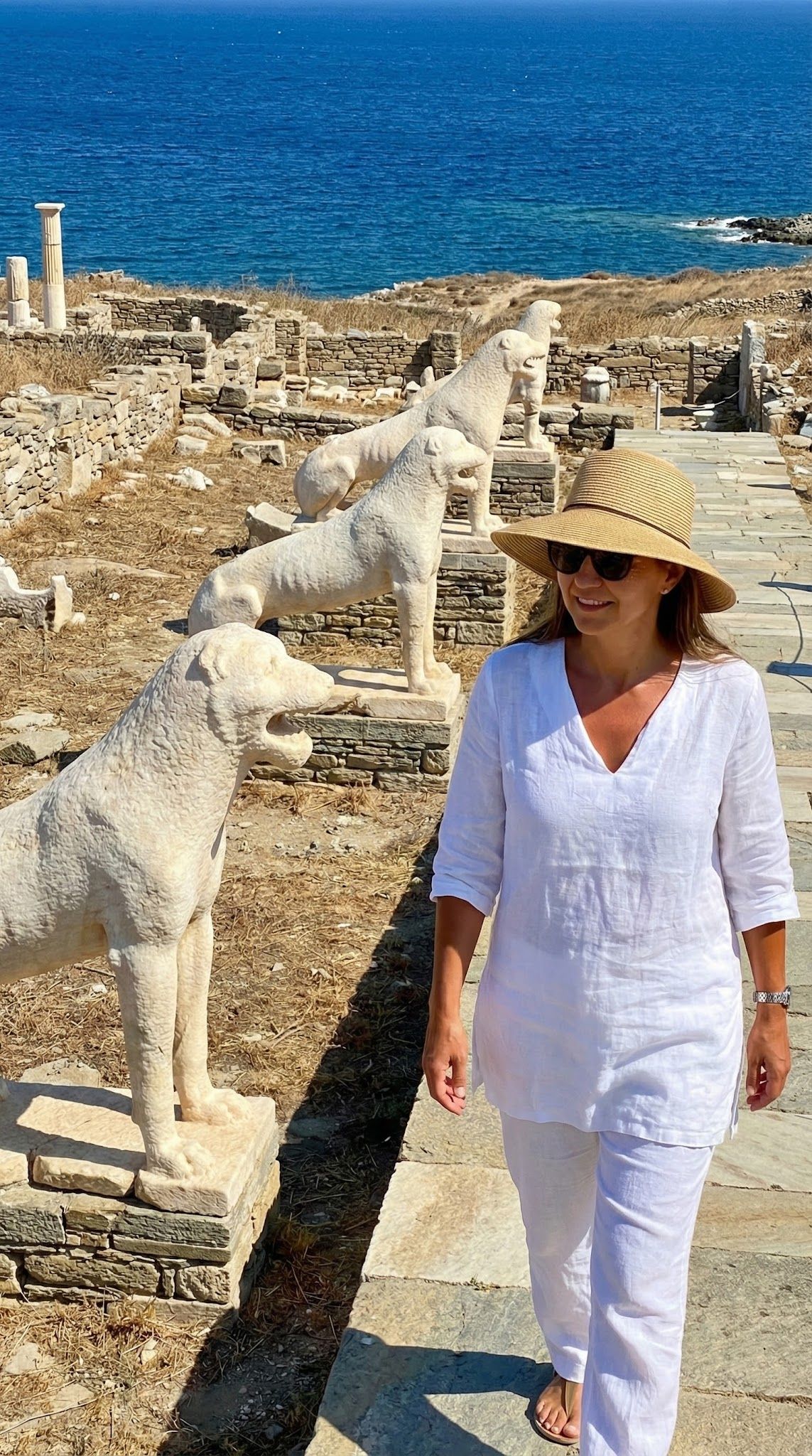 Dr. Vuslat Muslu Erdem, MD